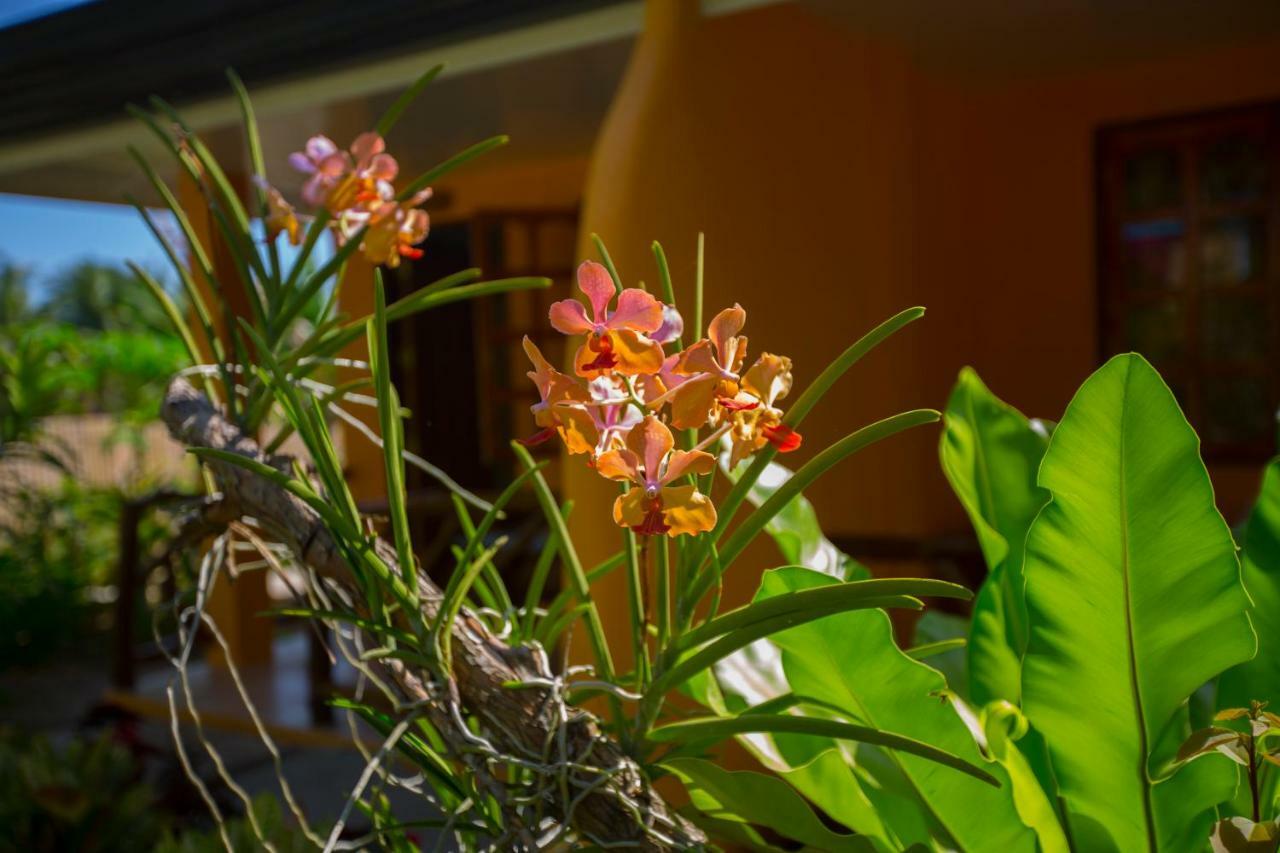 Chekesh Casa Hotel Сикиджор Екстериор снимка